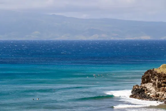 Casombie Cazino Cazinou Suport